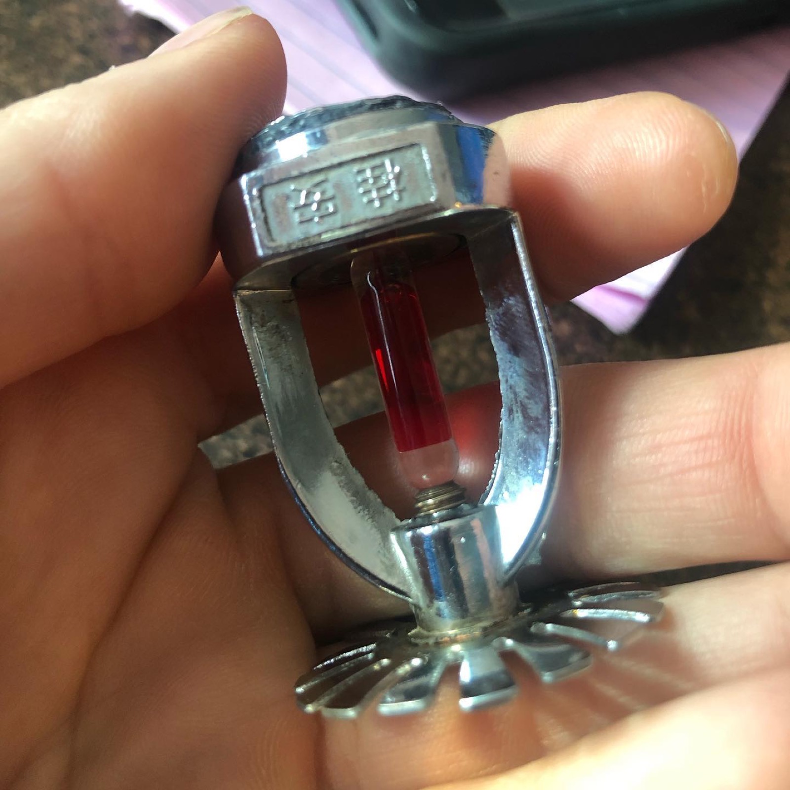 Fire sprinkler head up close